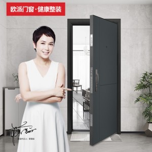 OPAI-3001S Blue-Gray Pearl Luster Steel Security Entry Door for Main Entrance